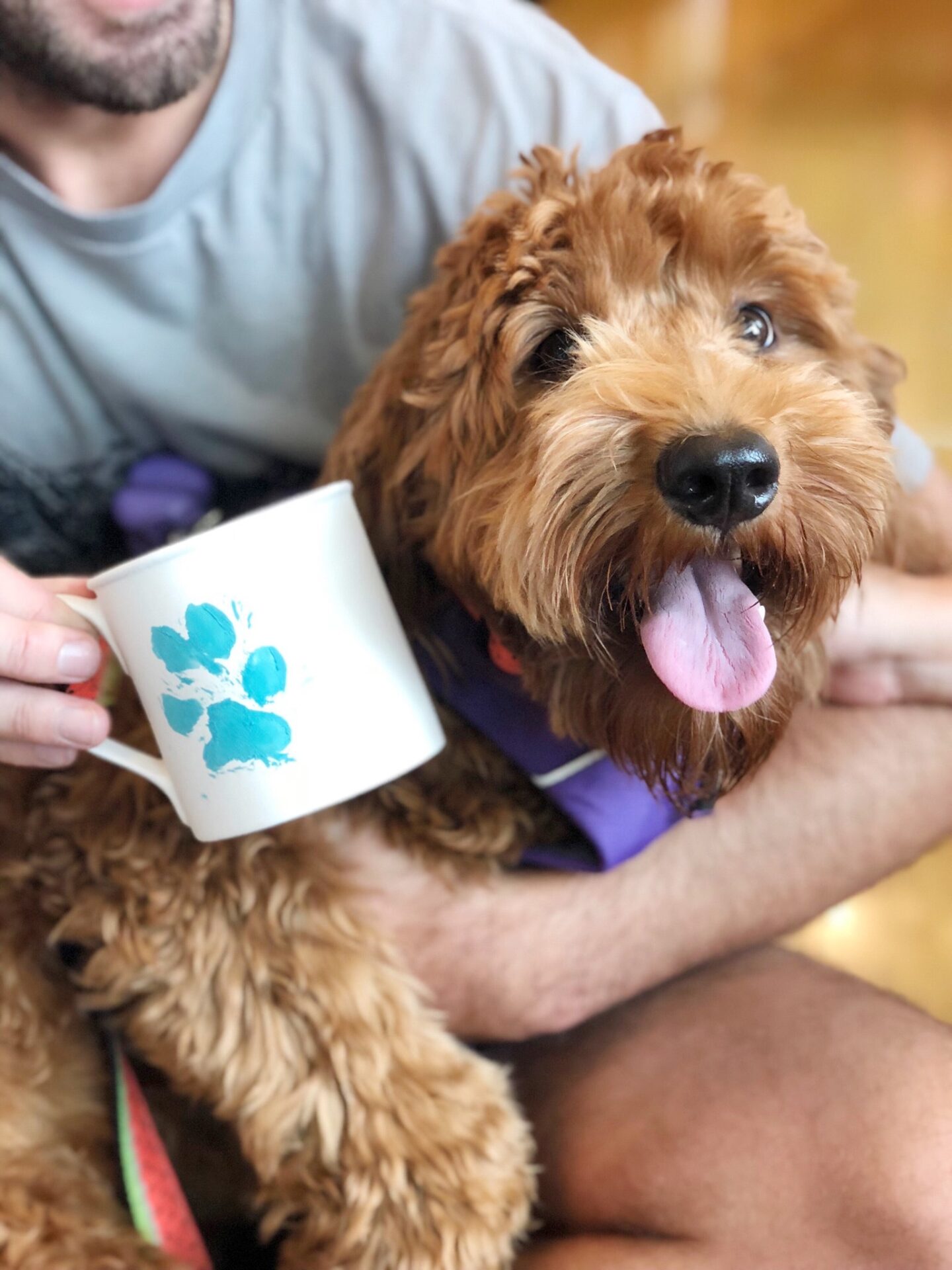 dog paw print in clay mug with cute dog beside