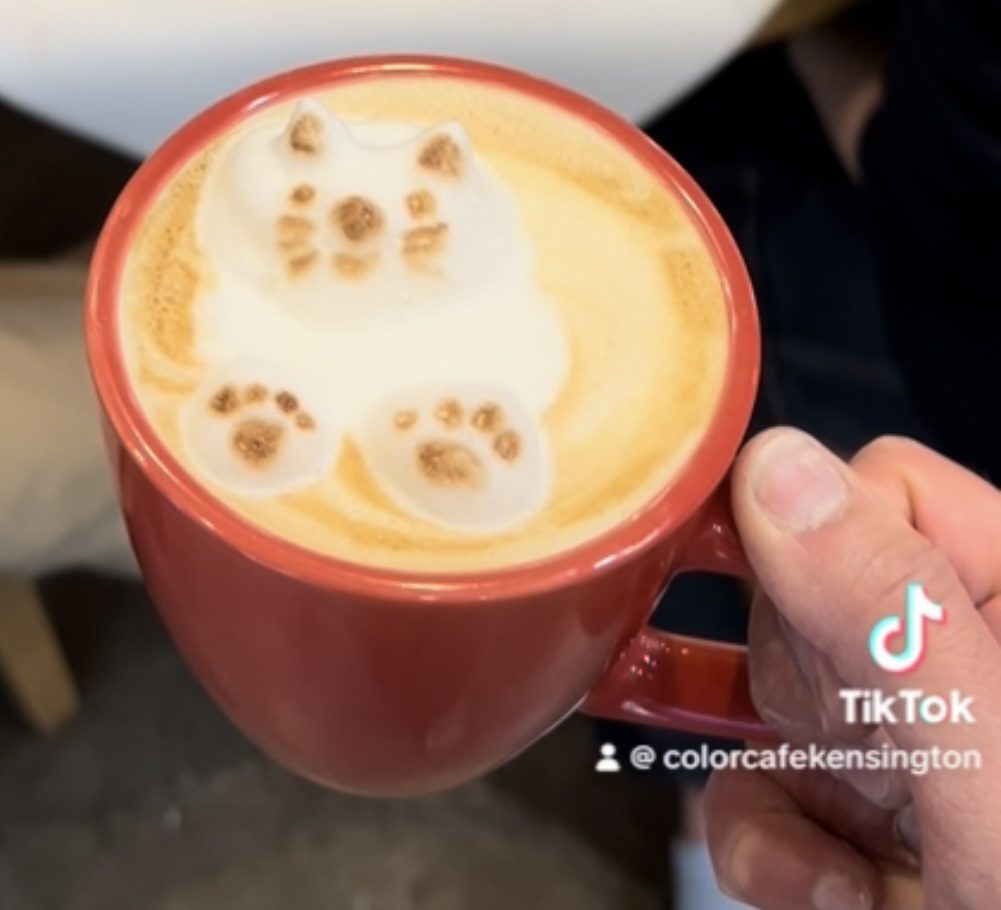 CUTE cat latte