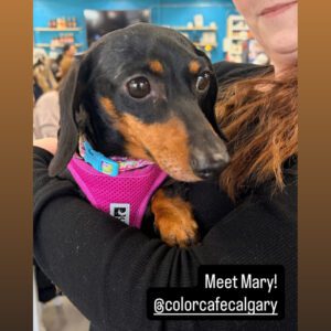 2713131B-94B2-4E37-BB04-C4553AFEA9F7