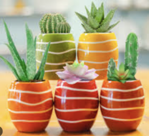 Screen Shot 2026-04-29 at 2.59.29 PM